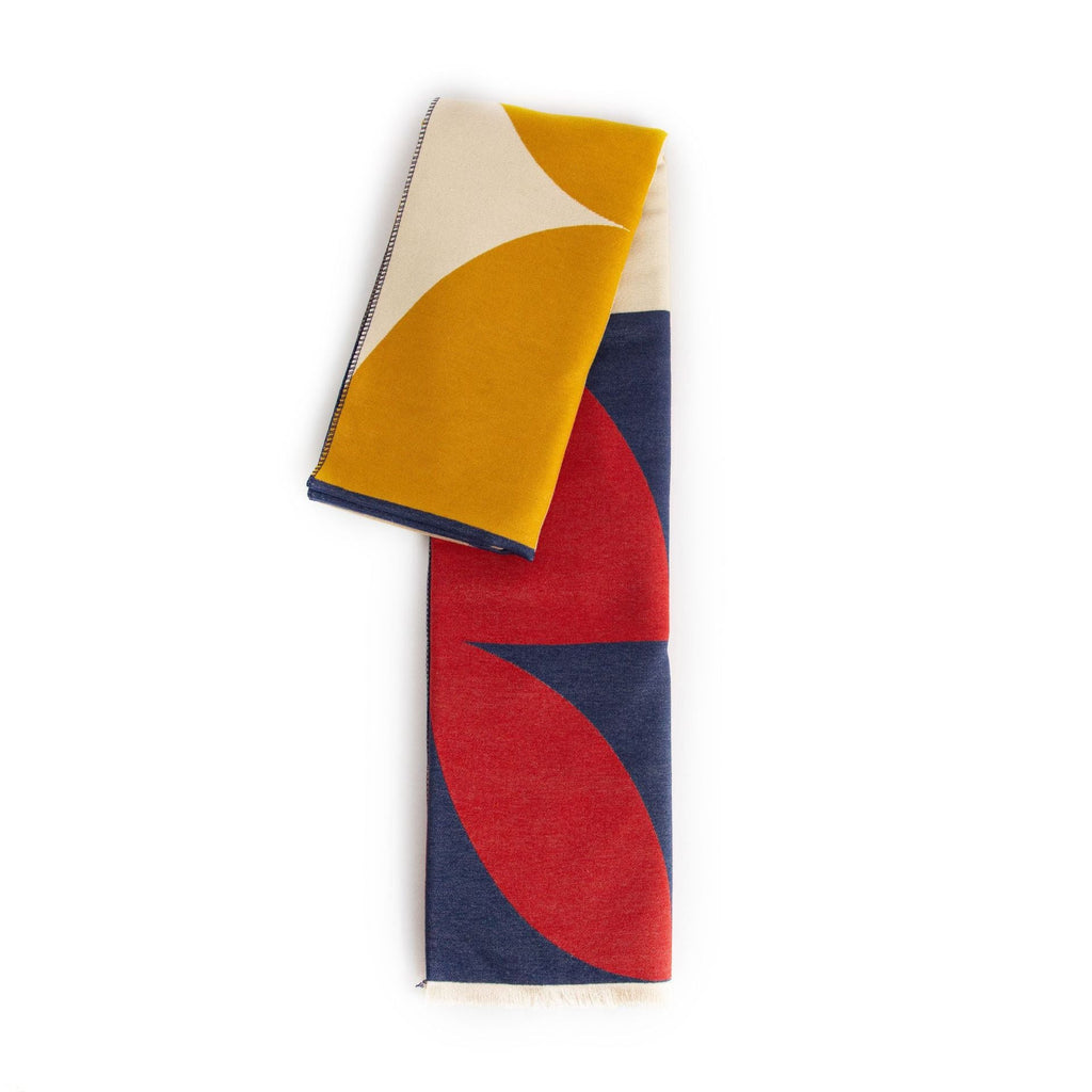 Ned | Womens Cashmere Warm Double Sided Soft Winter Scarf - 5